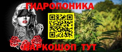 твердый Партизанск
