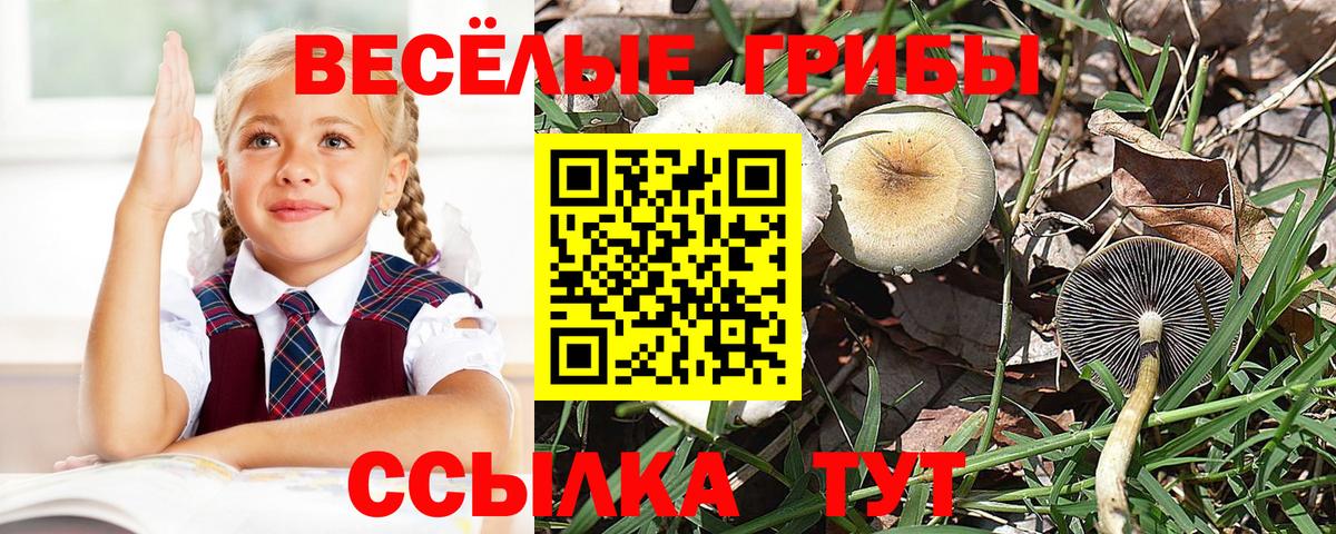 Симферополь  Псилоцибиновые грибы Magic Shrooms  Вход с VPN 